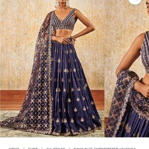 Elegant Navy Blue Embroidered Lehenga